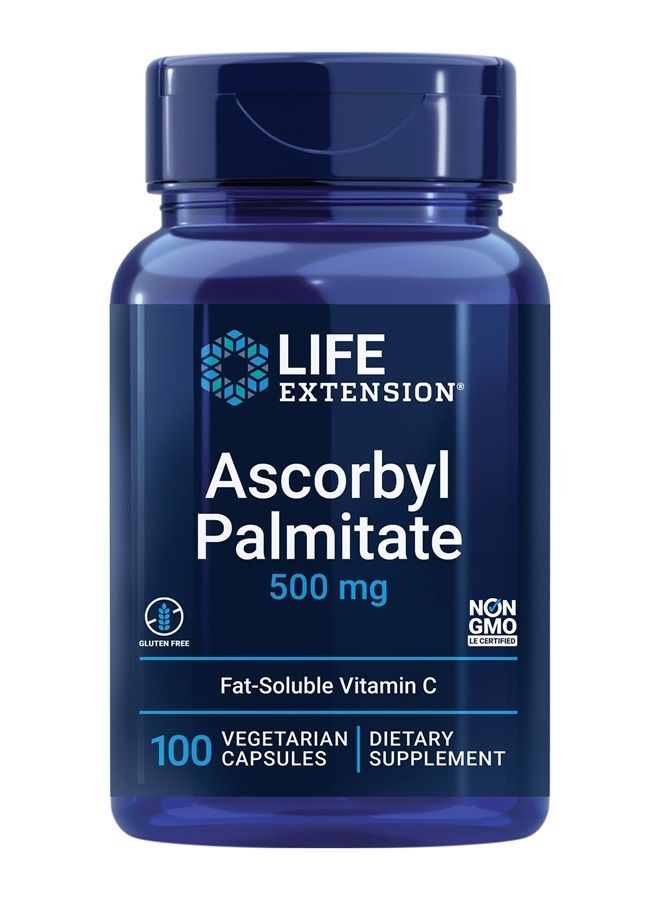 Life Extension Ascorbyl Palmitate 500mg – Fat-Soluble Vitamin C Supplement for Immune Support and Longevity – Water-Soluble Gluten-Free, Non-GMO, Vegetarian – 100 Capsules - Image 1