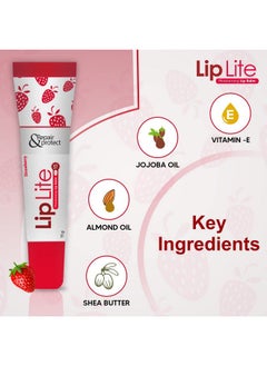 Liplite Moisturizing Lip Balm With Spf-15 Combo Pack Of 6 (15G Each)- Enriched With Almond,Jojoba Oil & Vitamin E, For Hydrate & Moisturization, Helps In Repair Cracked & Chapped Lips - White - pzsku/ZB0BC5D3488F9749FA54FZ/45/_/1735567020/2e8bd837-1bdf-4ed2-b2df-eee4a219974a