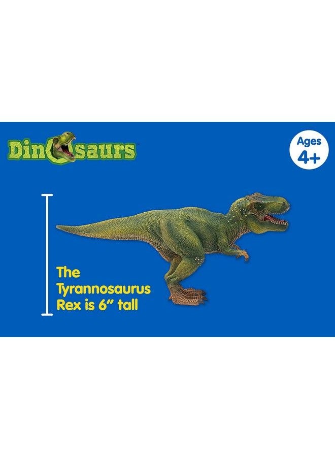 Schleich Dinosaurs Dinosaur Toy Dinosaur Toys For Boys And Girls 4 12 Years Old Tyrannosaurus Rex Green 11.2" X 5.6" X 3.8"  - Image 5