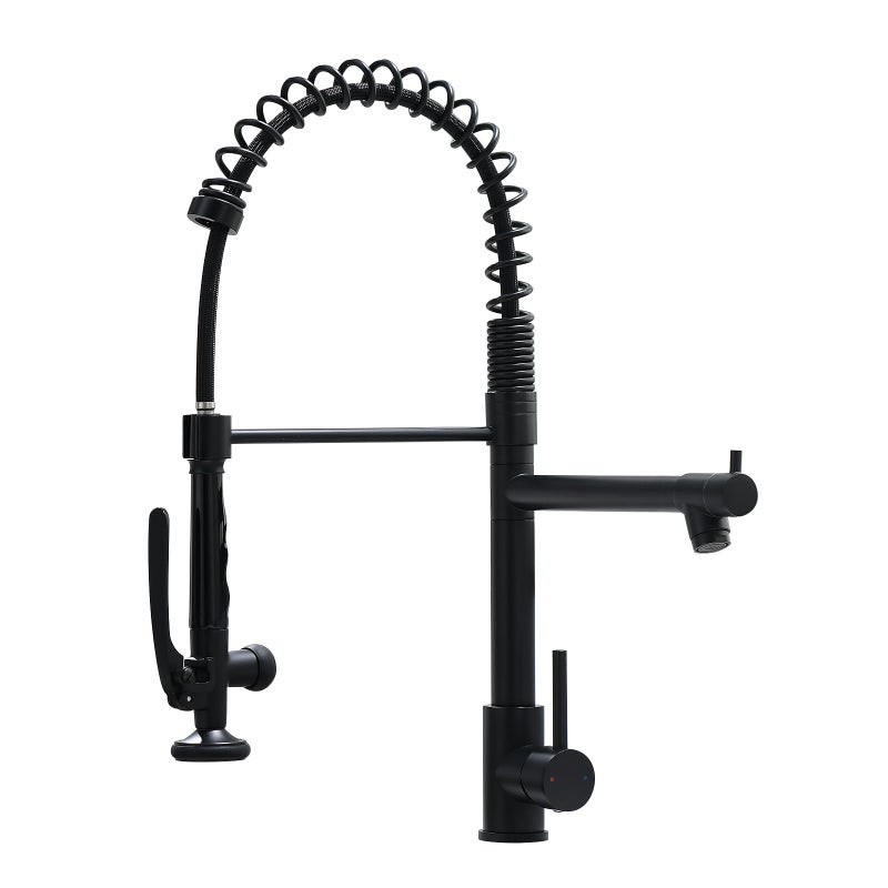 Fapully Black Kitchen FaucetCommercial Pull Down Kitchen Sink Faucet with Sprayer