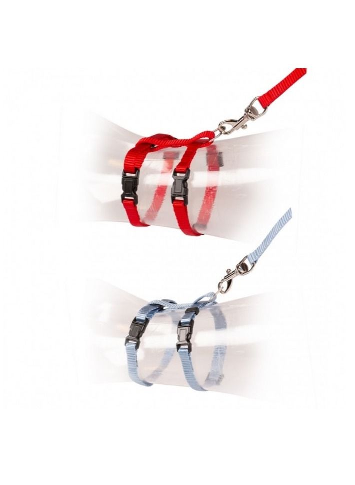 Duvo + Kitten Walking Set Uni Mixed Colors 15 - 25cm / 8mm - 125cm - Image 2