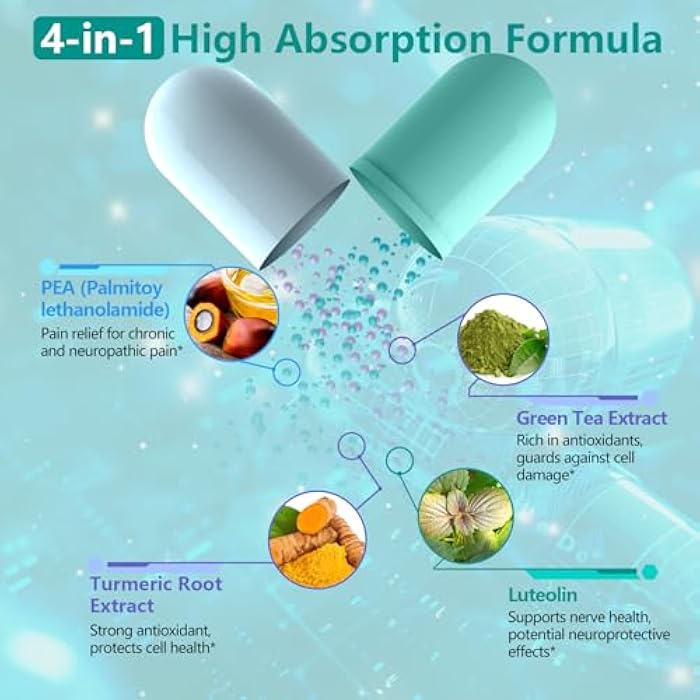 inGreens High Potency 4-in-1 Palmitoylethanolamide, 700mg Pea Supplement for Men and Women, Made in USA, 60 Capsules - Image 2