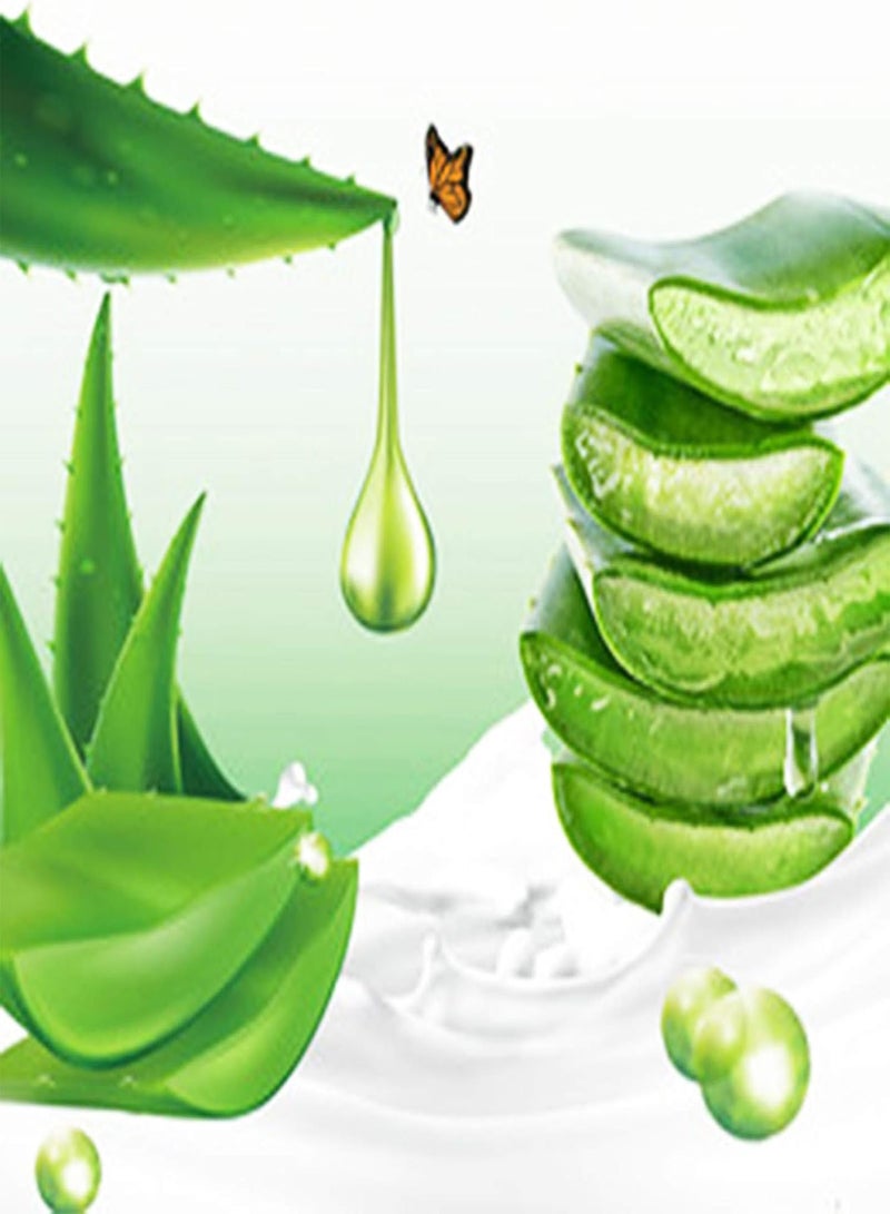 GGOOT 100Pcs/Bag Aloe Seeds Natural Viable Green Portable Plant Seeds for Home - Aloe Seeds  - Image 3