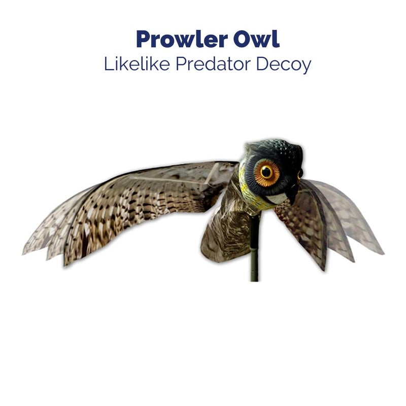 Bird-X Prowler Owl, Lifelike Owl Decoy with Glassy Eyes and Moving Wings, Easy to Install, Perfect for Pigeon, Hawk, and More, Covers up to 6,000 sq. ft., Black, Small - Image 3