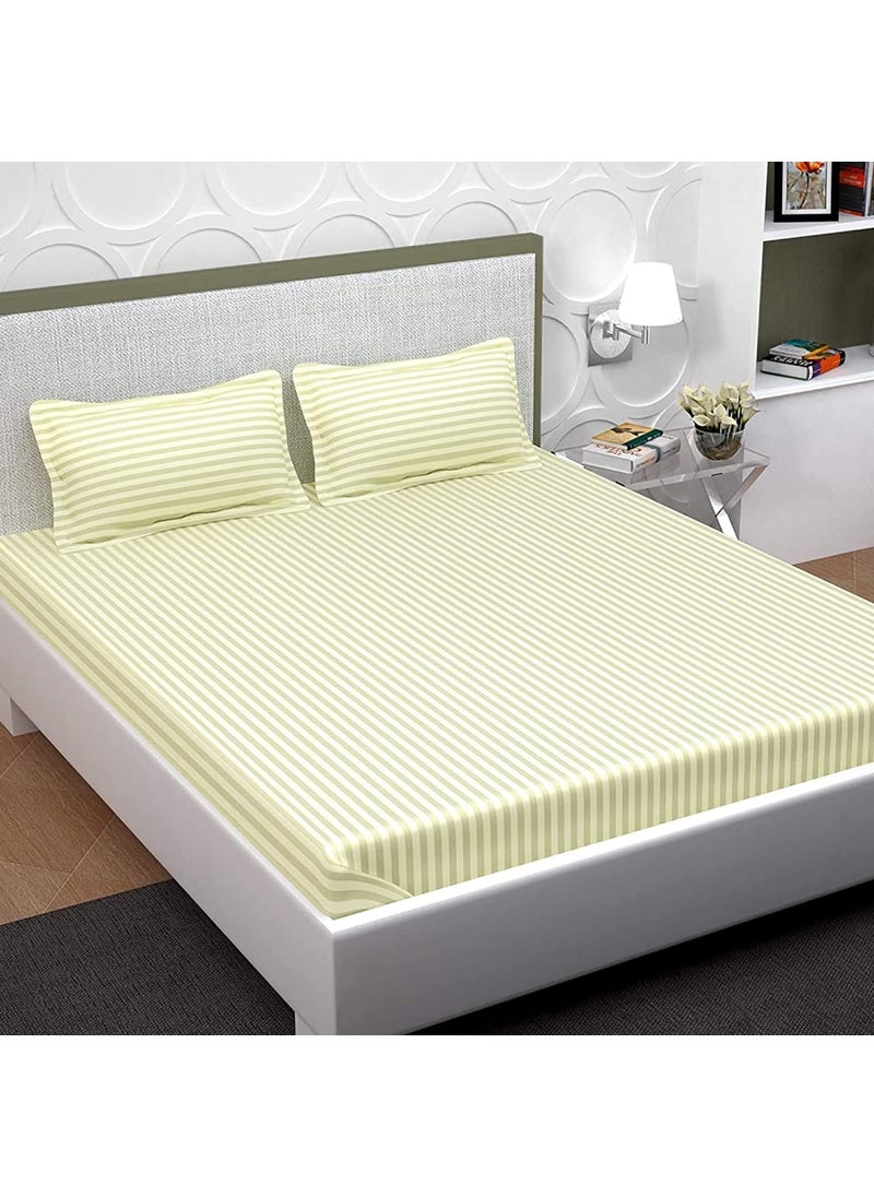 Pavo - PAVO Studio Tranquil Bedsheet Collection, Bedsheet King Size Bed Cotton, 300 TC Cotton Bedsheet with 2 Pillow Covers, Ivory White - Image 1
