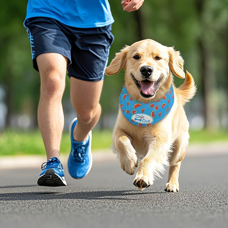 أوول فور بوز ALL FOR PAWS وشاح تبريد للكلاب، طوق تبريد للكلاب ولفافة للرقبة، وشاح تبريد مثلج للكلاب المتوسطة، طوق تبريد أزرق (M، محيط الرقبة 15-18.1 بوصة) - Image 5