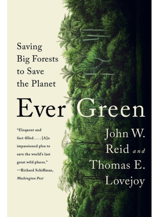 Ever Green Saving Big Forests to Save the Planet - Paperback
