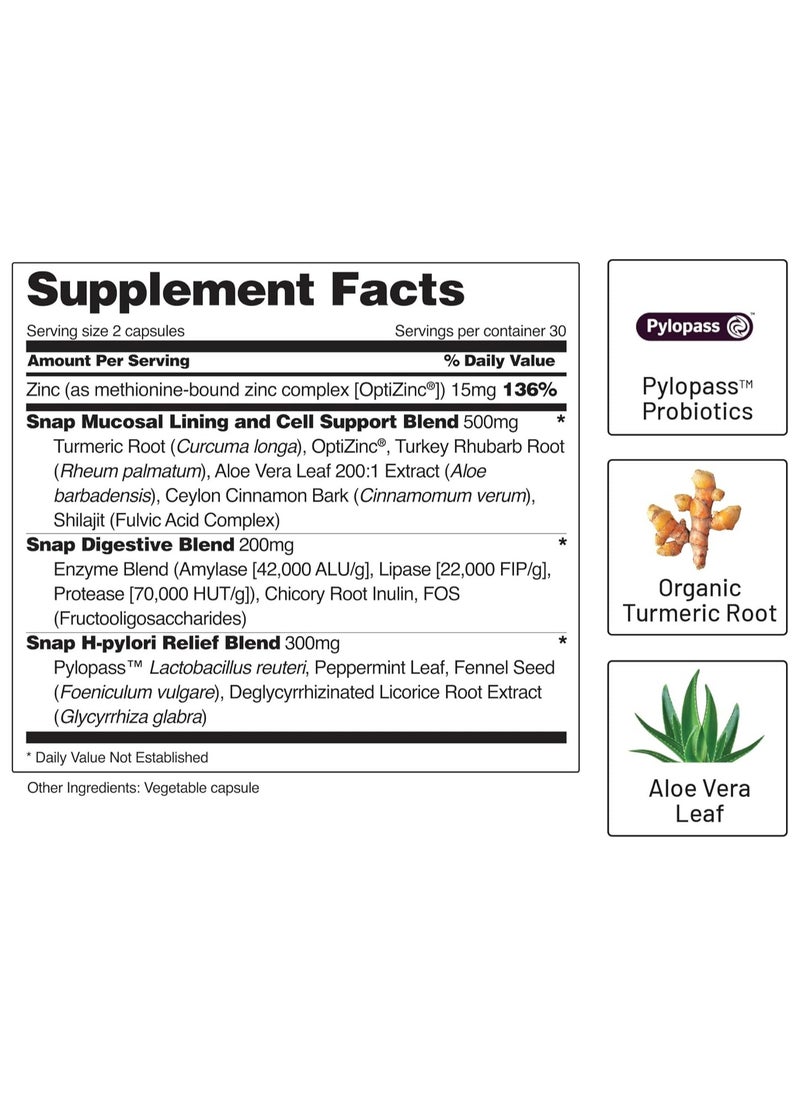 Gut Health with Turmeric, Aloe, Pylopass Probiotics and 15 active ingredients - 60 Capsules Dietary Supplement