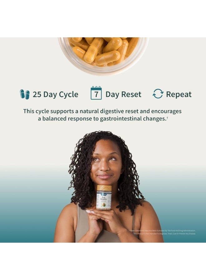 SNAP SUPPLEMENTS Gut Health + Turmeric + Aloe + Pylopass Probiotics + 17 Active Ingredients Dietary Supplement | 50 Capsules - Image 3