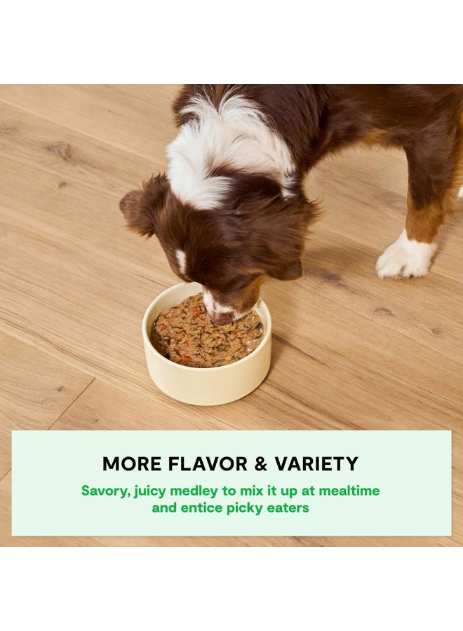Open Farm Grass-Fed Beef Rustic Stew Wet Dog Food, Grain-Free Meal or Food Topper with Responsibly Sourced Meat and Superfoods Without Artificial Ingredients, Pack of 12, 12.5 Oz Each - Image 3