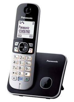 Panasonic Cordless Phone Silver/Black 