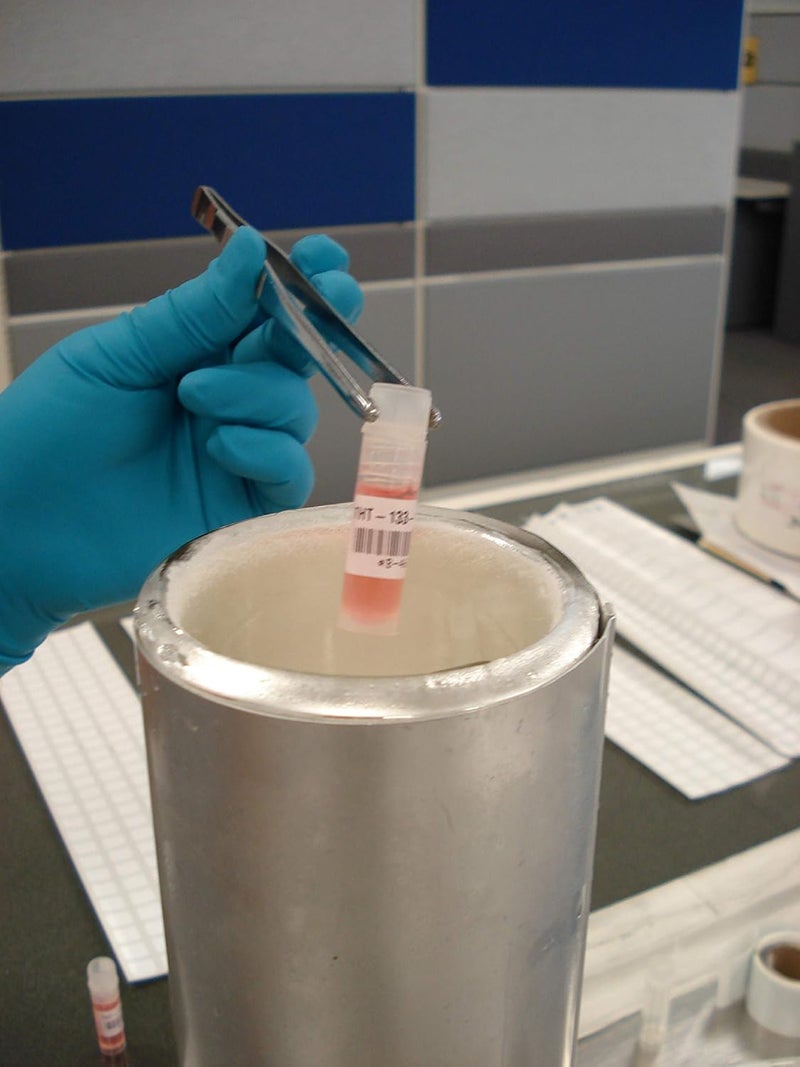 Brady Polyester Label Tape for Label Printers M210 & M211 - Self-Laminating Cryogenic Laboratory Labels - Black on White (12.7 mm x 6.40 m) - Image 4