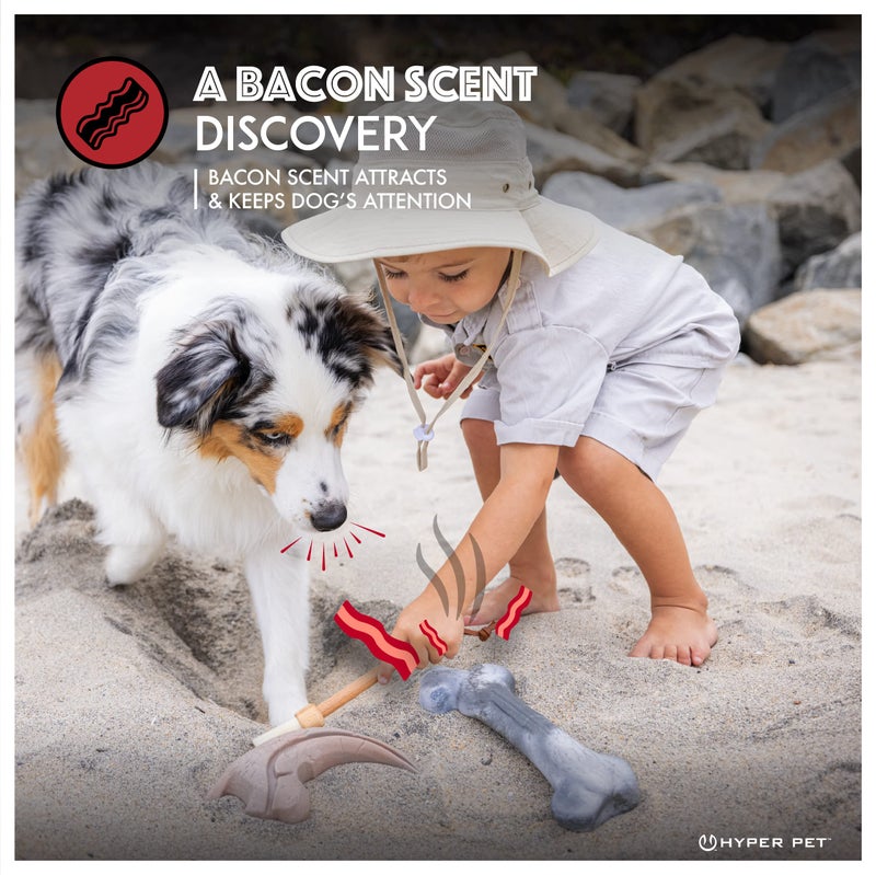 Hyper Pet Fossil Durable Dog Slow Feeder, Chew Toy, Interactive, Bacon Flavored Long Lasting for Aggressive Chewers, Megalodon Tooth, for All Breeds - Image 2