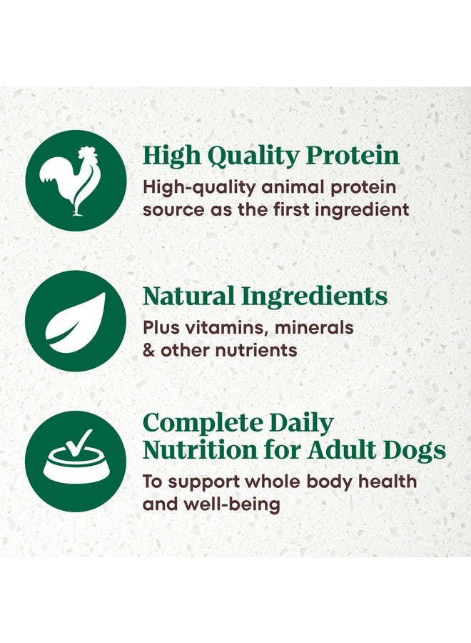 نوترو باتيه طعام الكلاب الرطب للغاية من نوترو مع إضافات، عبوة متنوعة من أطباق الدجاج والديك الرومي، 3.5 أونصة (12 قطعة، عبوة واحدة) - Image 4