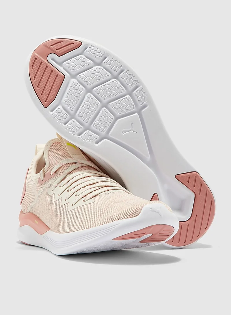 PUMA Ignite Flash evoKNIT