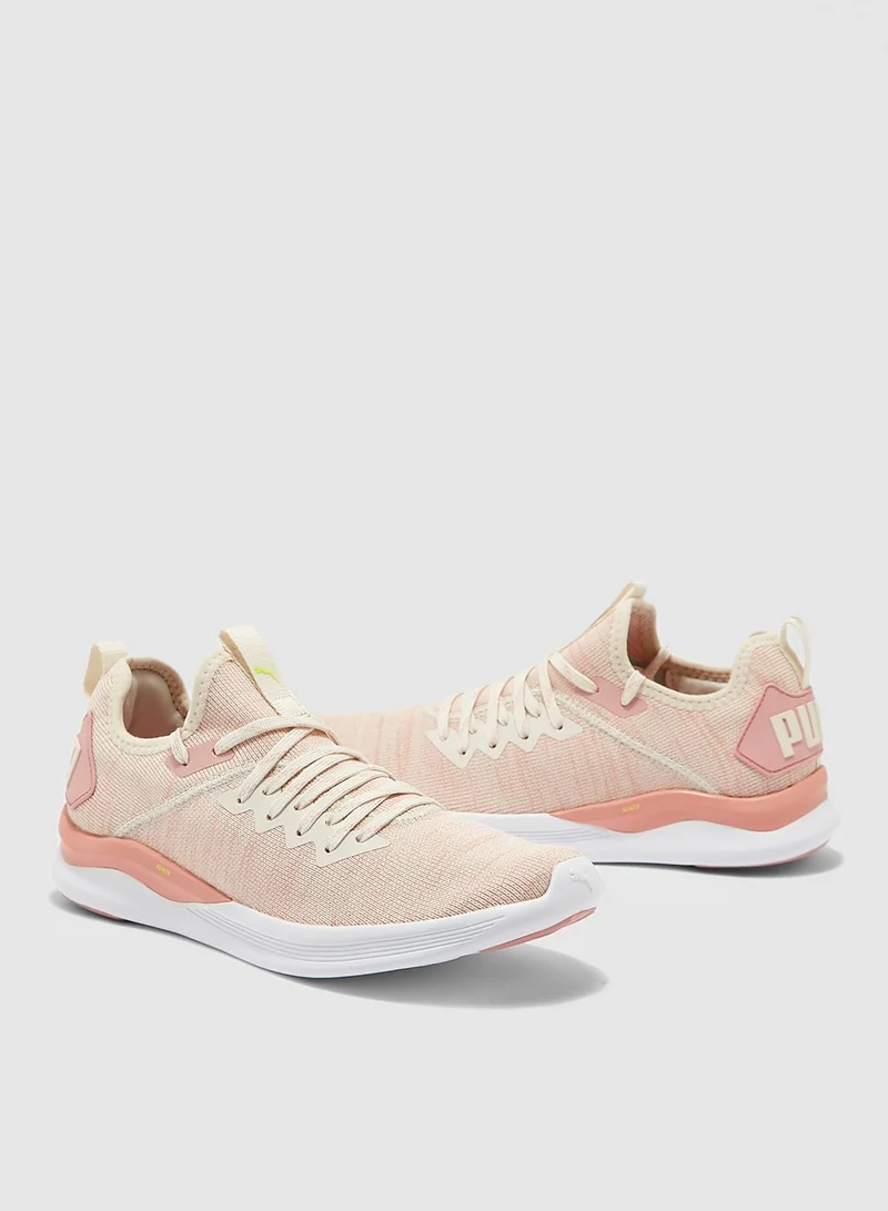 PUMA Ignite Flash evoKNIT