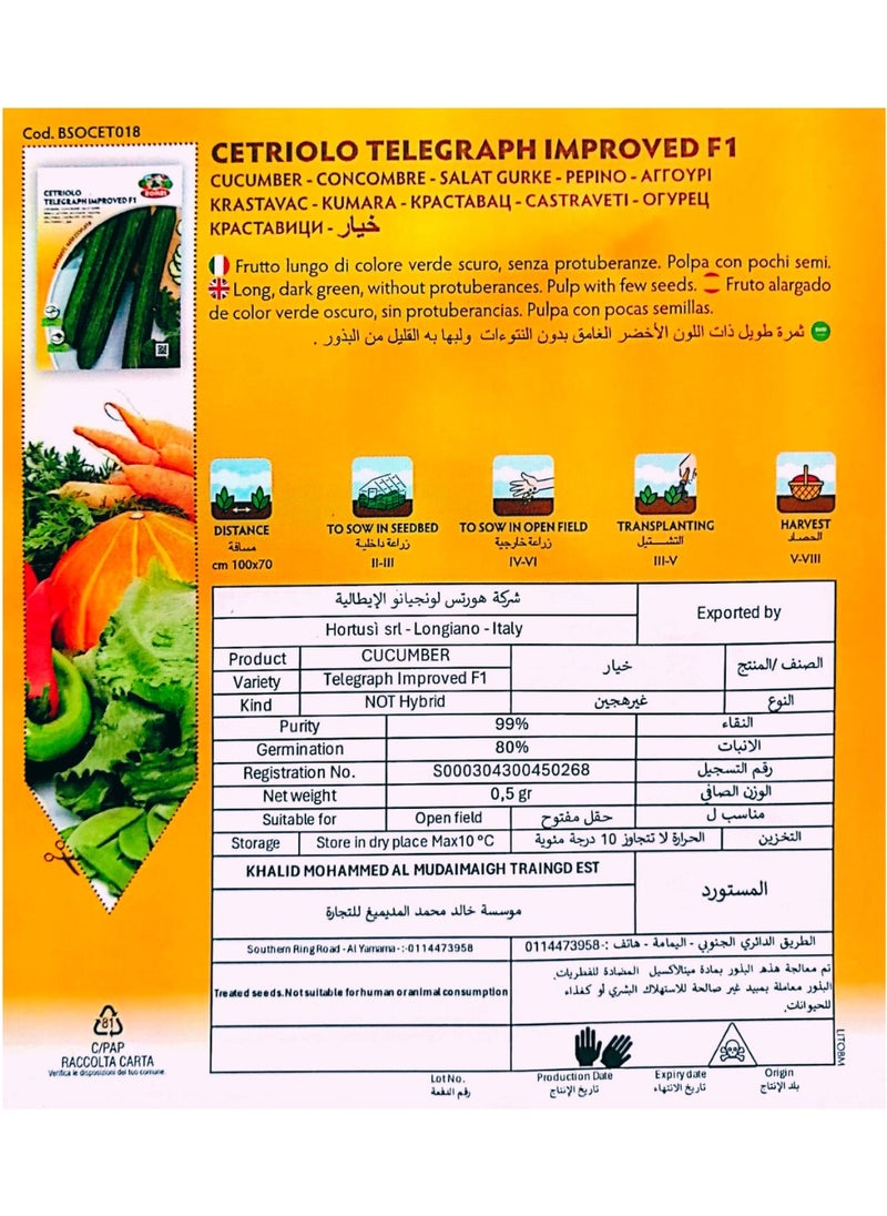 ZORZI - Cucumber Seeds - Image 1
