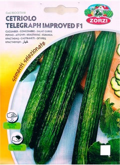ZORZI Cucumber Seeds  - Image 1