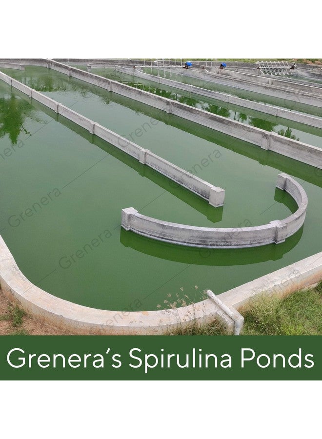 Grenera Spirulina Superfood Tablets 120 nos (1000 mg Per Serving) Pure, Natural Supplement - Image 3