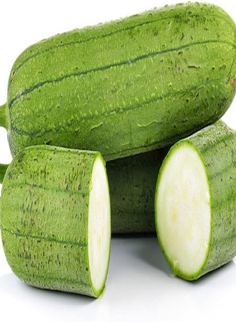 جي جوت 20 قطعة من بذور اللوف، خضراوات خضراء غير معدلة وراثيًا، مغذية ولذيذة للزراعة في الحديقة والمزرعة، مناسبة للمبتدئين - Image 2