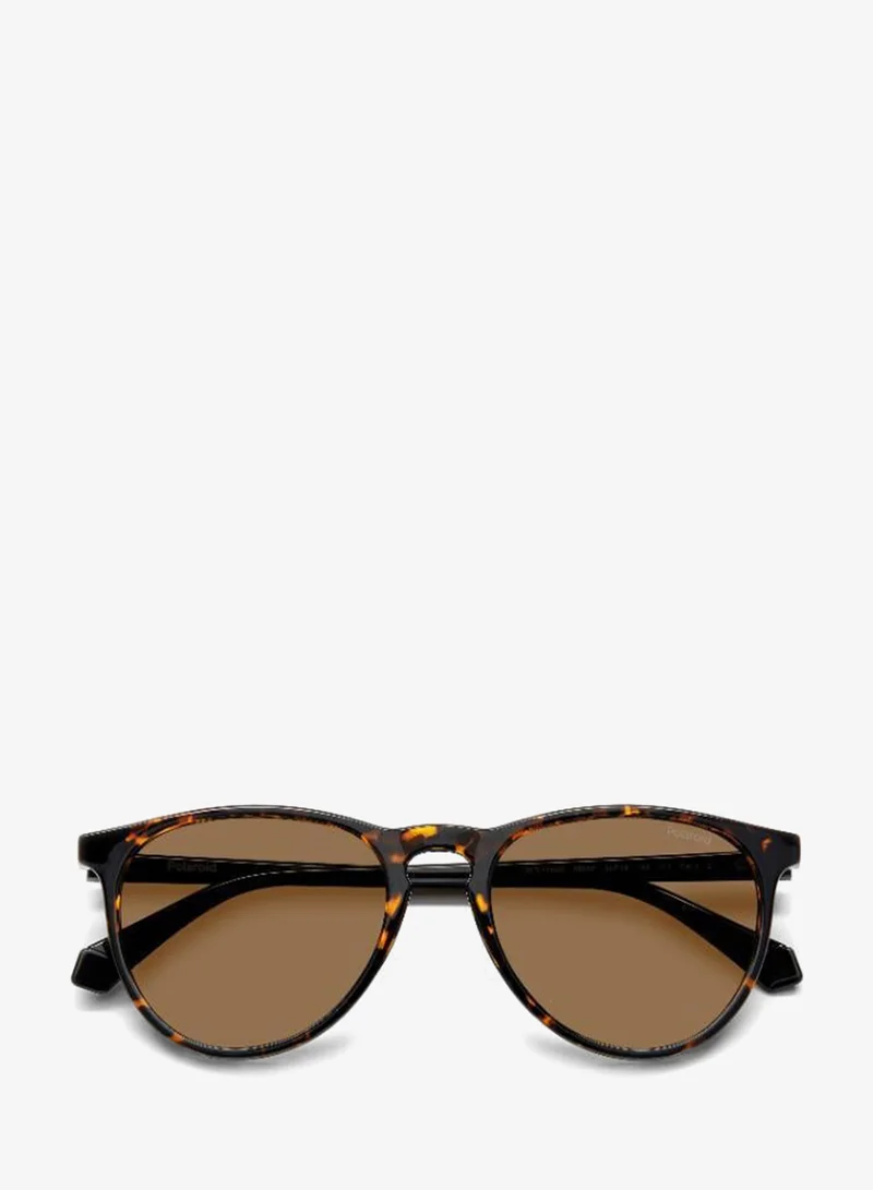Polaroid  Wayfarers Sunglasses for Women | Best Price UAE