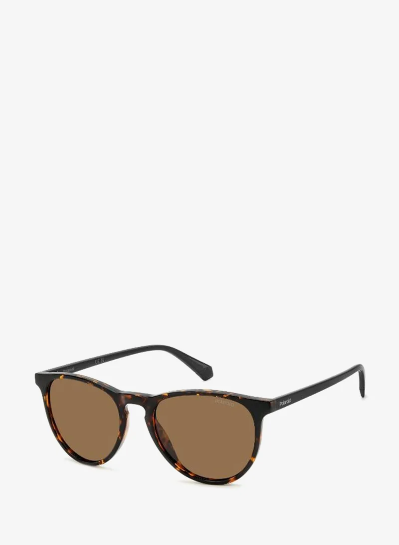 Polaroid  Wayfarers Sunglasses for Women | Best Price UAE