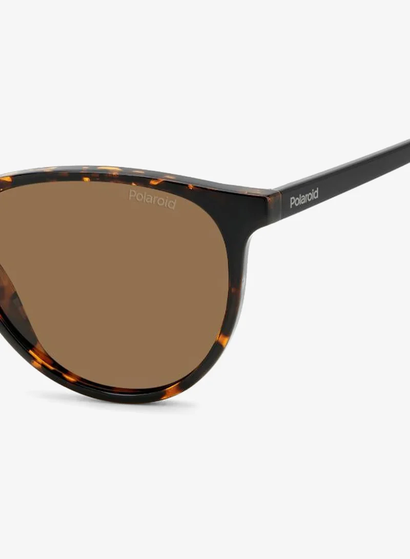 Polaroid  Wayfarers Sunglasses for Women | Best Price UAE