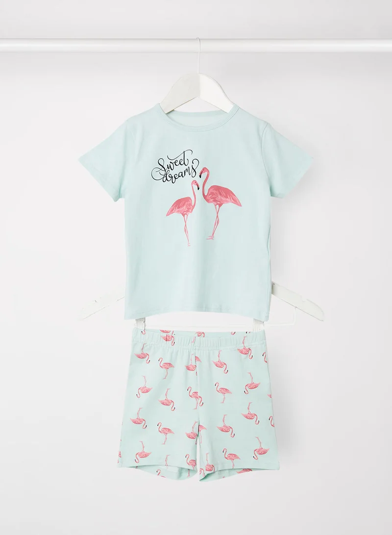 NAME IT Girls Flamingo Print Top and Shorts Set