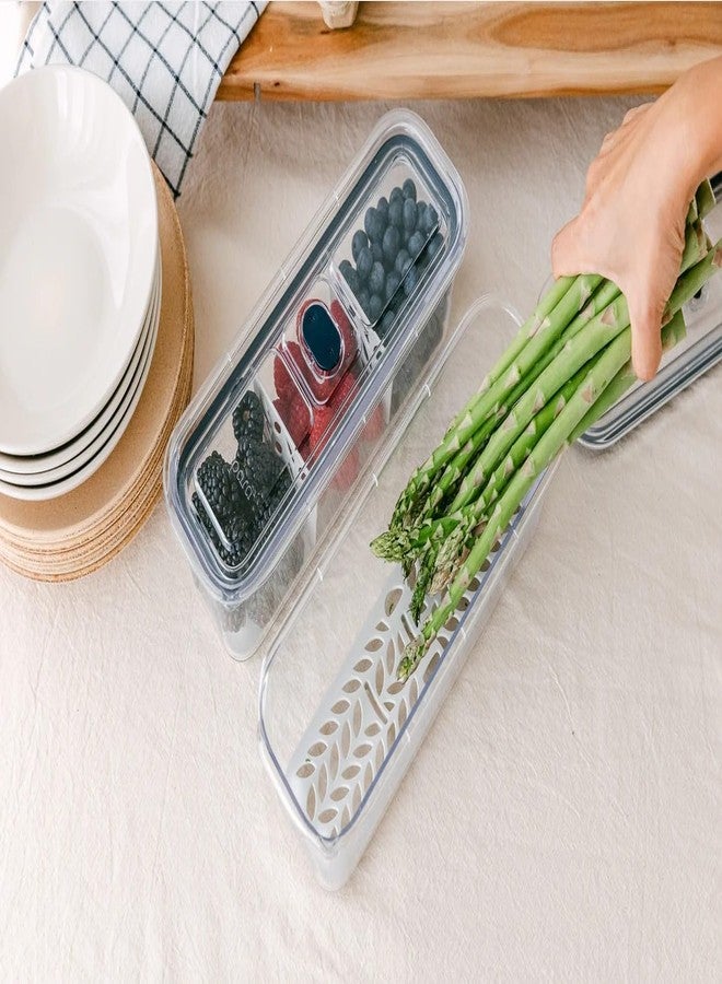 Prepara Latchlok Click 6.2 Cup Food Storage Container with Raiser & Divider, Storm - Image 2