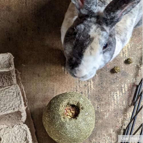 Kaytee Timothy Roll 'n' Toss Toy and Treat for Pet Rabbits, Guinea Pigs, and Chinchillas - Image 5