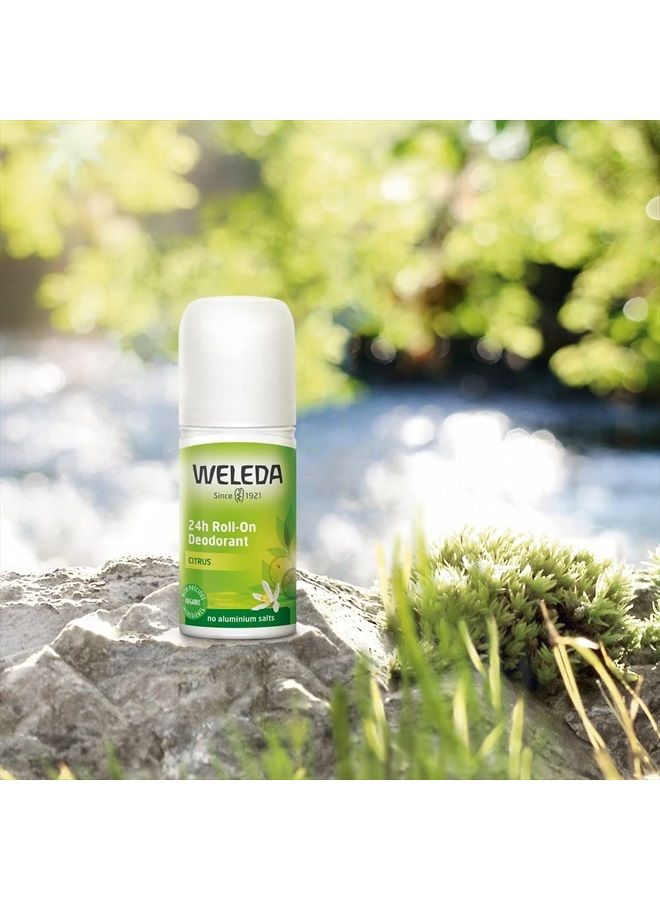Weleda مزيل العرق رول أون يدوم 24 ساعة، حمضي، أصفر، 1.7 أونصة سائلة - Image 3