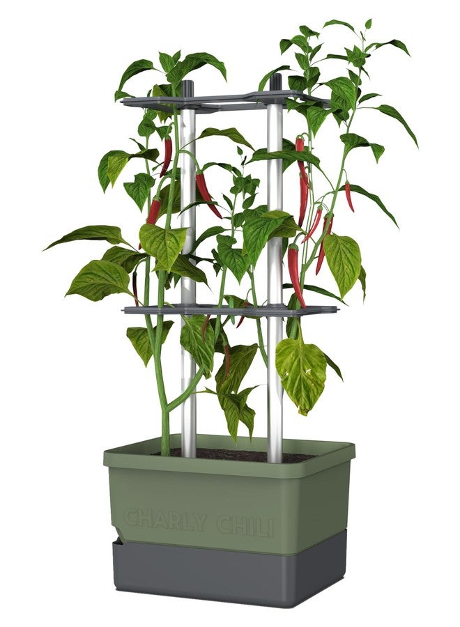 BUZZY Seeds Charly Chili Self-Watering Vertical Plant Tower - 1.2 Gal Water Reservoir, .35 Cubit ft Soil Capacity, Sturdy Trellis, Vertical Planter for Chili, Bell Peppers & Eggplants - Dark Green - Image 1