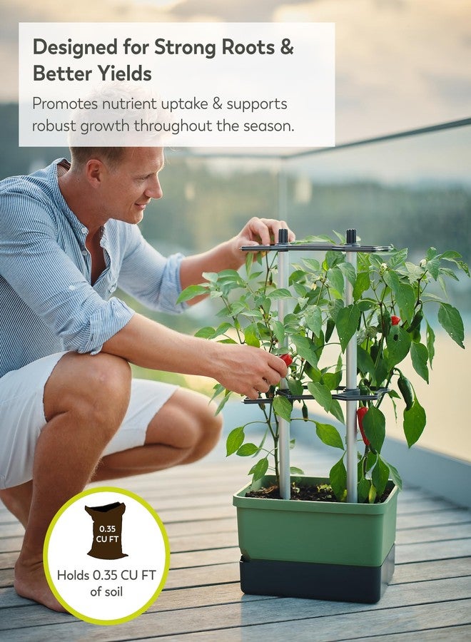 BUZZY Seeds Charly Chili Self-Watering Vertical Plant Tower - 1.2 Gal Water Reservoir, .35 Cubit ft Soil Capacity, Sturdy Trellis, Vertical Planter for Chili, Bell Peppers & Eggplants - Dark Green - Image 5
