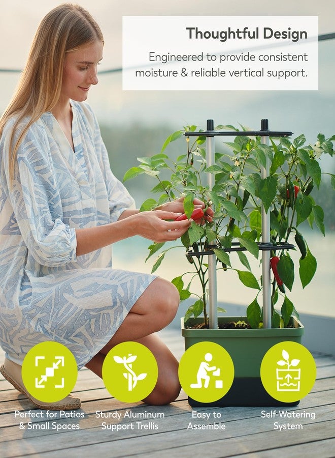 BUZZY Seeds Charly Chili Self-Watering Vertical Plant Tower - 1.2 Gal Water Reservoir, .35 Cubit ft Soil Capacity, Sturdy Trellis, Vertical Planter for Chili, Bell Peppers & Eggplants - Dark Green - Image 3