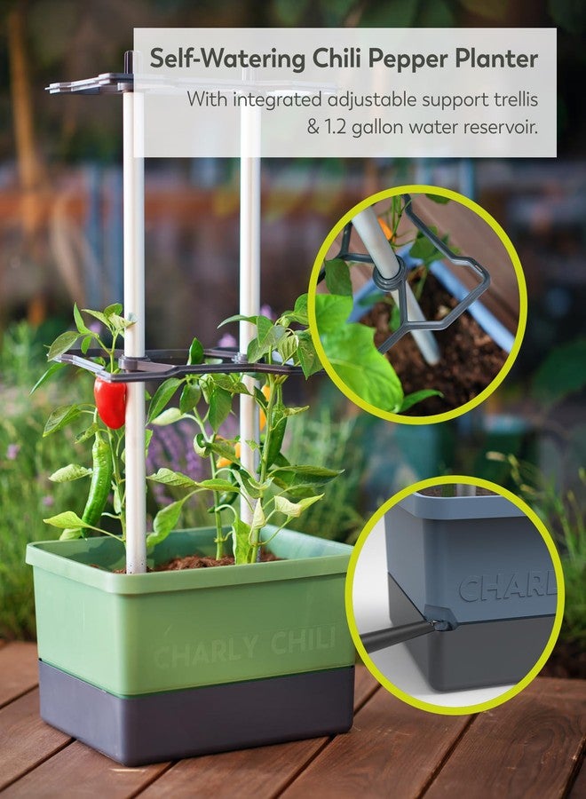 BUZZY Seeds Charly Chili Self-Watering Vertical Plant Tower - 1.2 Gal Water Reservoir, .35 Cubit ft Soil Capacity, Sturdy Trellis, Vertical Planter for Chili, Bell Peppers & Eggplants - Dark Green - Image 2