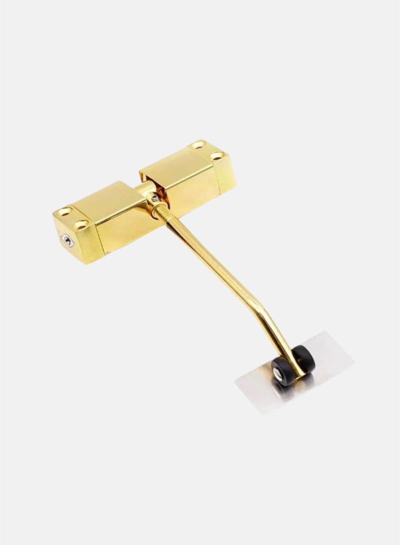 Safety Spring Door Closers, Adjustable Closing Door Hinge, Automatic Quiet Gate Closer Easy to Install, Automatic Stopper Fire Rated, to Convert Hinged Doors to Self Closing Doors (golden) - Image 1