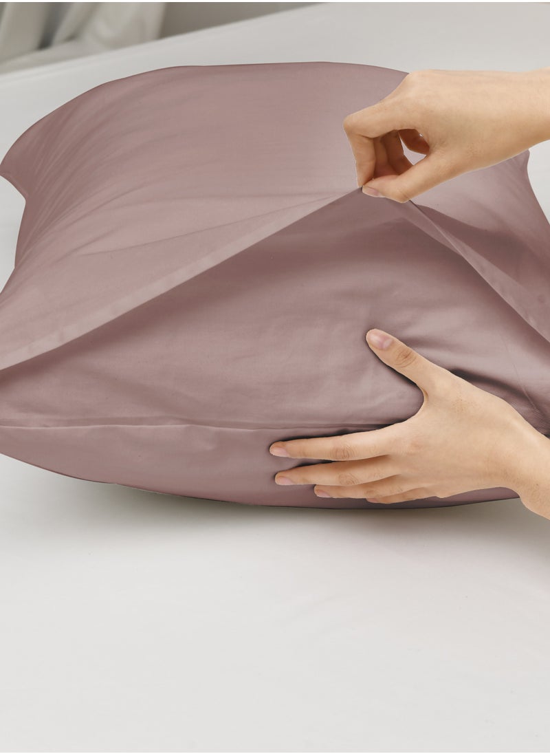Cotton Fitted Sheet Set, 100% Cotton, 200 TC, 3 Pieces Queen Size with 35 cm Deep Pocket - pzsku/ZB0D2C528B4D0FEF2DD8BZ/45/_/1724945382/7c629a40-2939-4785-b562-b2f204051ff8