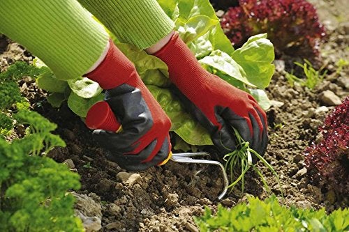 wolfgarten Polyester Blend Soil Care Garden Gloves (Red And Black, Medium, Pair of 2) - Image 5