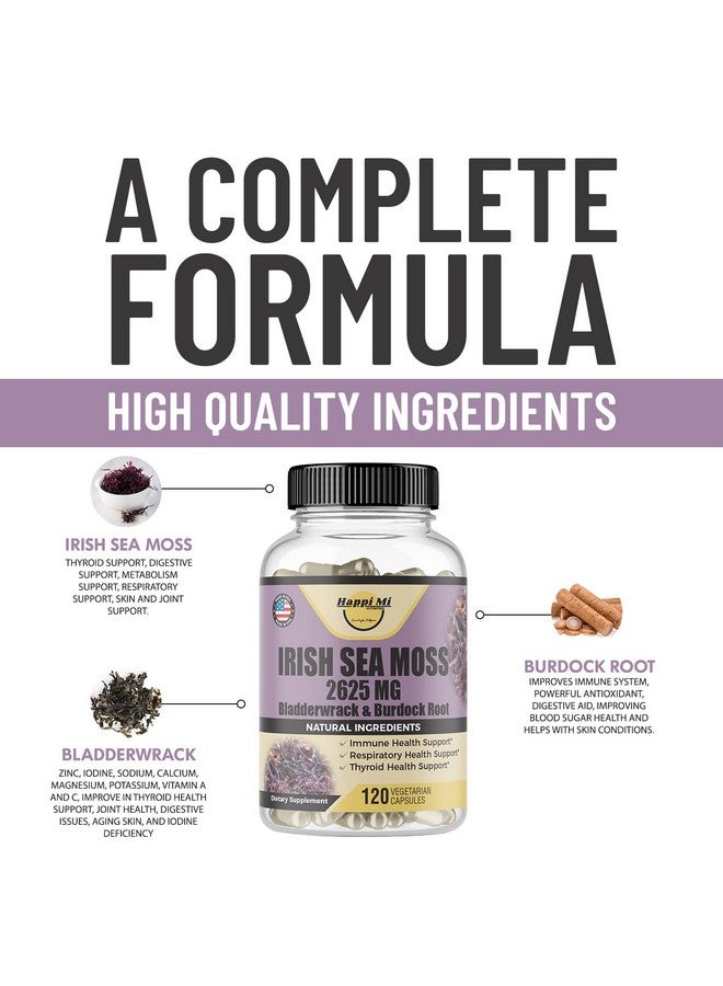 Happi Mi Nutrition طحالب البحر الأيرلندية 2625 ملغ لكل حصة طحالب البحر بالإضافة إلى بلادرواك وجذر البرودوك تم جمعها يدويًا دعم صحة الأمعاء دعم الهضم دعم المناعة والرفاهية العامة 120 كبسولة نباتية - Image 4