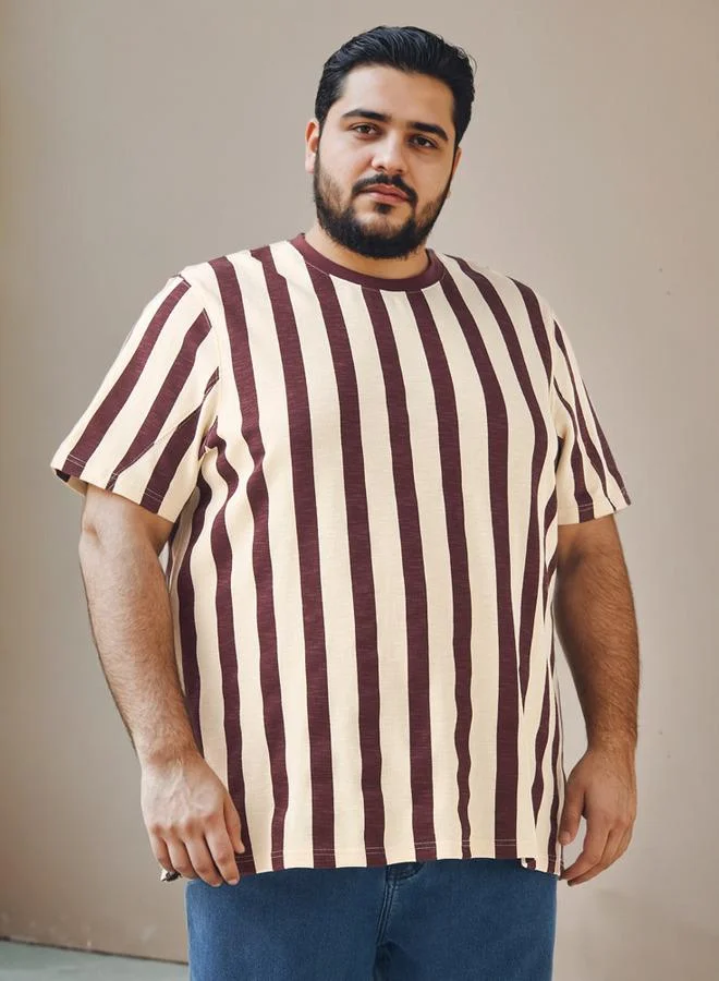 Plus Size Striped Crew Neck T-shirt