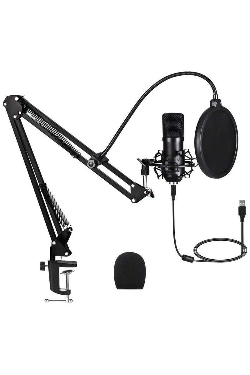 Arabest USB Condenser Microphone, 192kHz/24bit Cardioid Studio Mic Kit with Sound Card, Boom Arm, Pop Filter, Shock Mount, for PC, Skype, YouTube Recording - Image 1