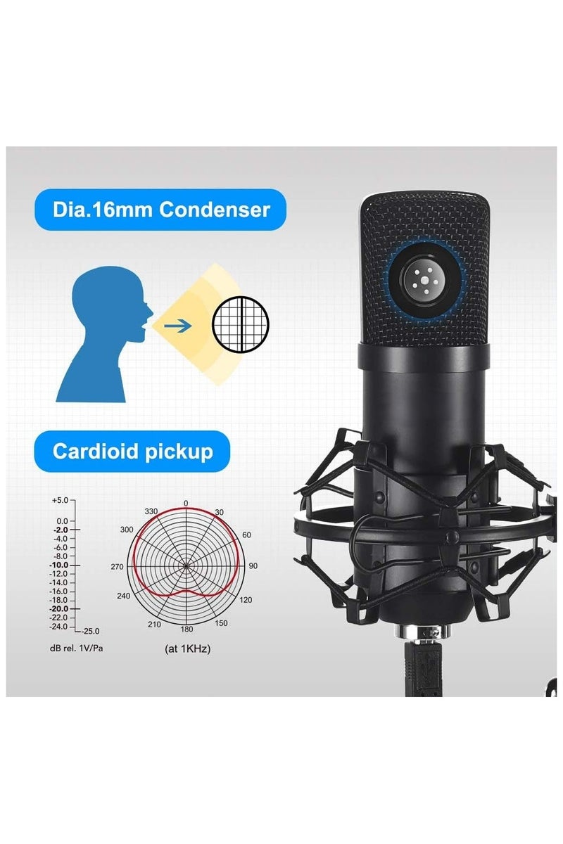 Arabest USB Condenser Microphone, 192kHz/24bit Cardioid Studio Mic Kit with Sound Card, Boom Arm, Pop Filter, Shock Mount, for PC, Skype, YouTube Recording - Image 2