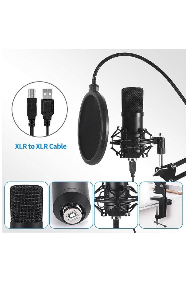 Arabest USB Condenser Microphone, 192kHz/24bit Cardioid Studio Mic Kit with Sound Card, Boom Arm, Pop Filter, Shock Mount, for PC, Skype, YouTube Recording - Image 4