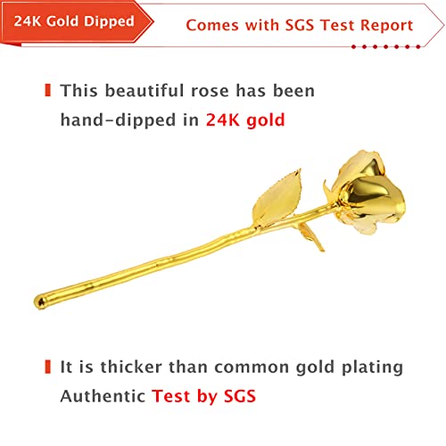AliveRose 24k Gold Rose, Golden Rose Made from Real Rose - Unique Design Dipped Rose for Anniversary Valentines Mothers Day Birthday Gifts (Golden Rose with Stand) - Image 5