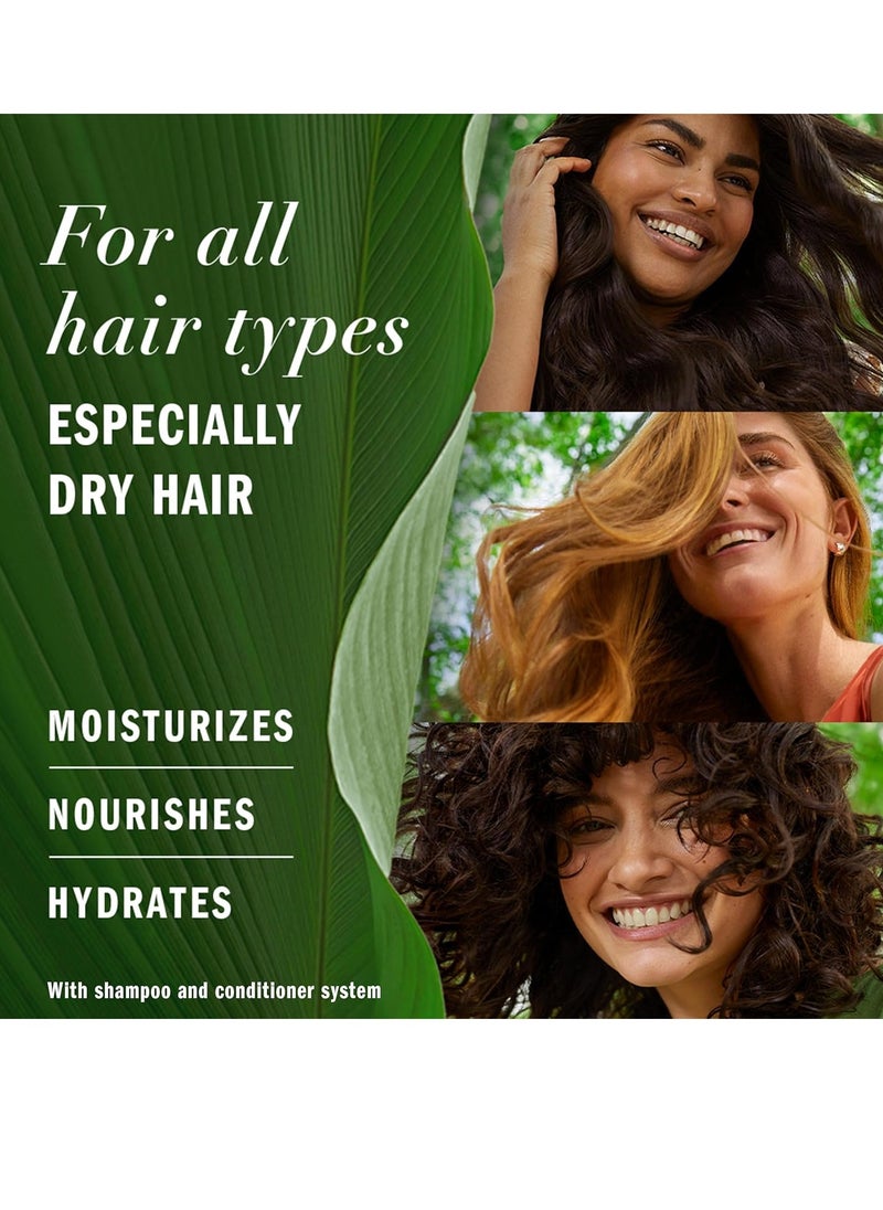 Herbal Essences Herbal Essences Honey Daily Moisture Conditioner, Protects and Nourishes Dry Hair, Hydrating Conditioner with Certified Camellia Oil and Aloe Vera, Moisturizing and Safe For All Hair Types, 33.8oz  - Image 5