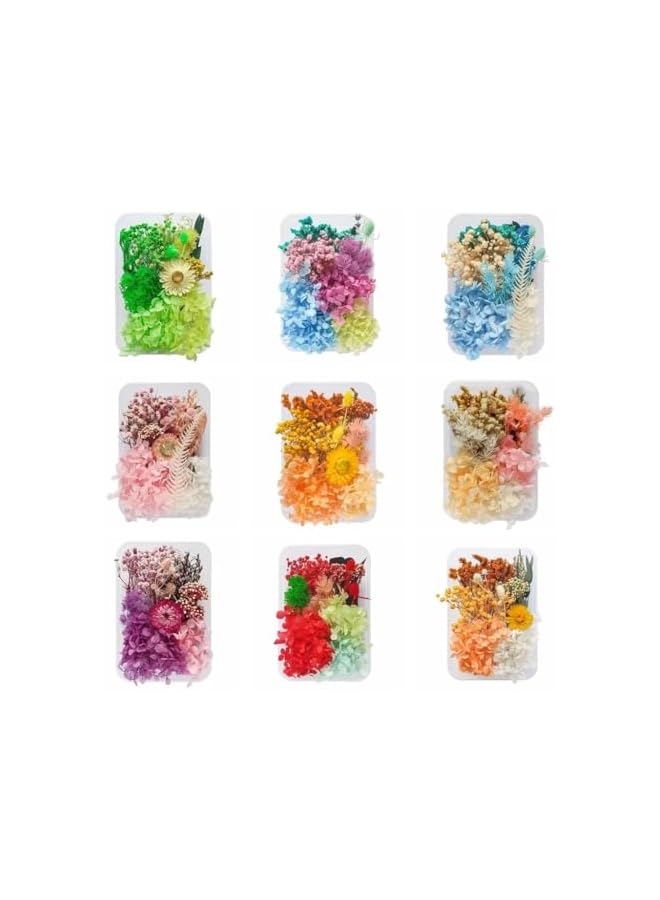 The Bros زهور مجففة حقيقية نباتات جافة لصنع الشموع العطرية قلادة من الراتنج الإيبوكسي صناعة المجوهرات الحرف اليدوية إكسسوارات DIY زهور مجففة طبيعية مختلطة ، مواد تعبئة لتزيين المنزل (علبة عشوائية 1)  - Image 2