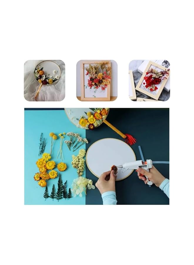 The Bros زهور مجففة حقيقية نباتات جافة لصنع الشموع العطرية قلادة من الراتنج الإيبوكسي صناعة المجوهرات الحرف اليدوية إكسسوارات DIY زهور مجففة طبيعية مختلطة ، مواد تعبئة لتزيين المنزل (علبة عشوائية 1)  - Image 5