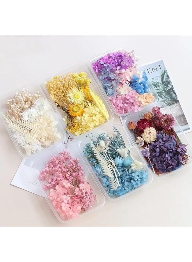 The Bros زهور مجففة حقيقية نباتات جافة لصنع الشموع العطرية قلادة من الراتنج الإيبوكسي صناعة المجوهرات الحرف اليدوية إكسسوارات DIY زهور مجففة طبيعية مختلطة ، مواد تعبئة لتزيين المنزل (علبة عشوائية 1)  - Image 3