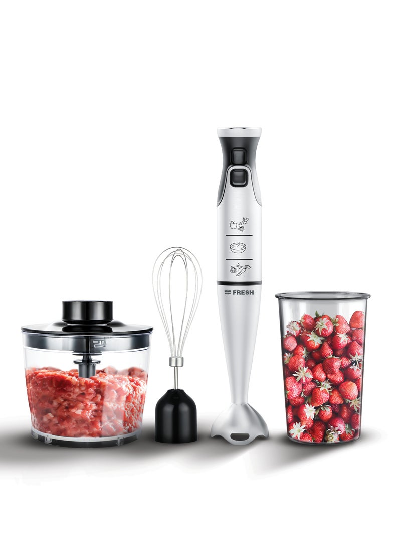Hand Blender HB1000C 1000 watts