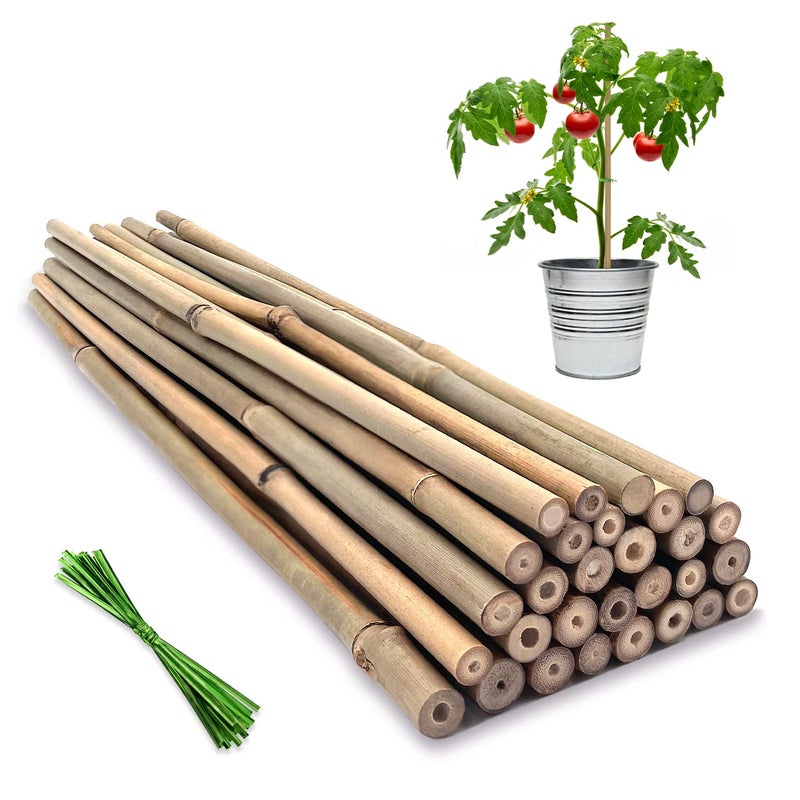 BOVITRO Plant Stakes,18 Inches Natural Garden Bamboo Sticks,BOVITRO 20Pcs Plant Support Stakes for Tomatoes,Beans,Vegetable and Potted Plants - Image 1